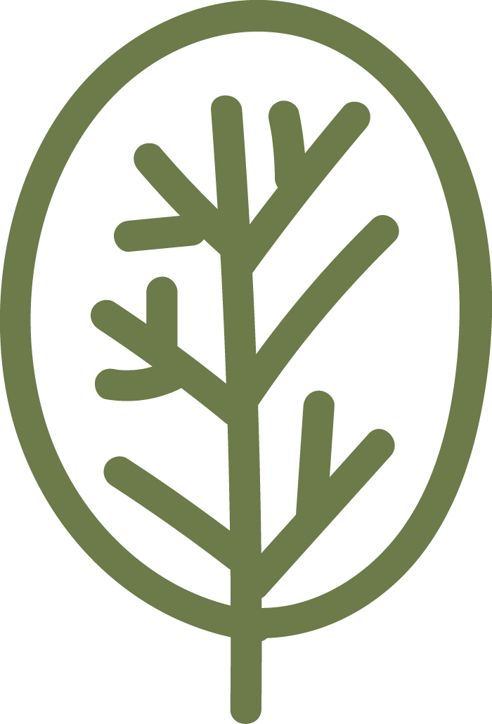 Stile Libero agenzia di comunicazione sostenibile icona albero